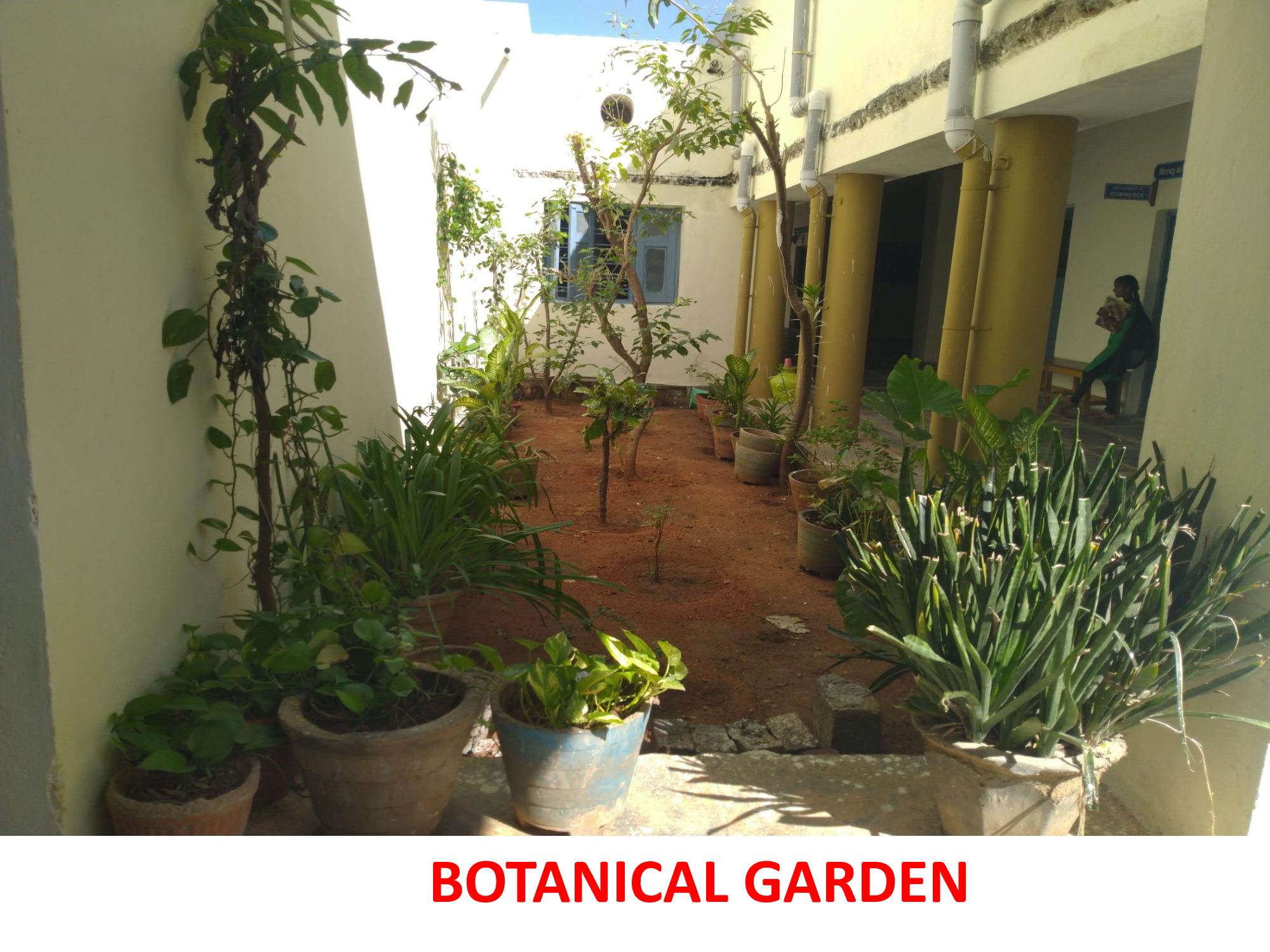 Botanical Garden - photo 1