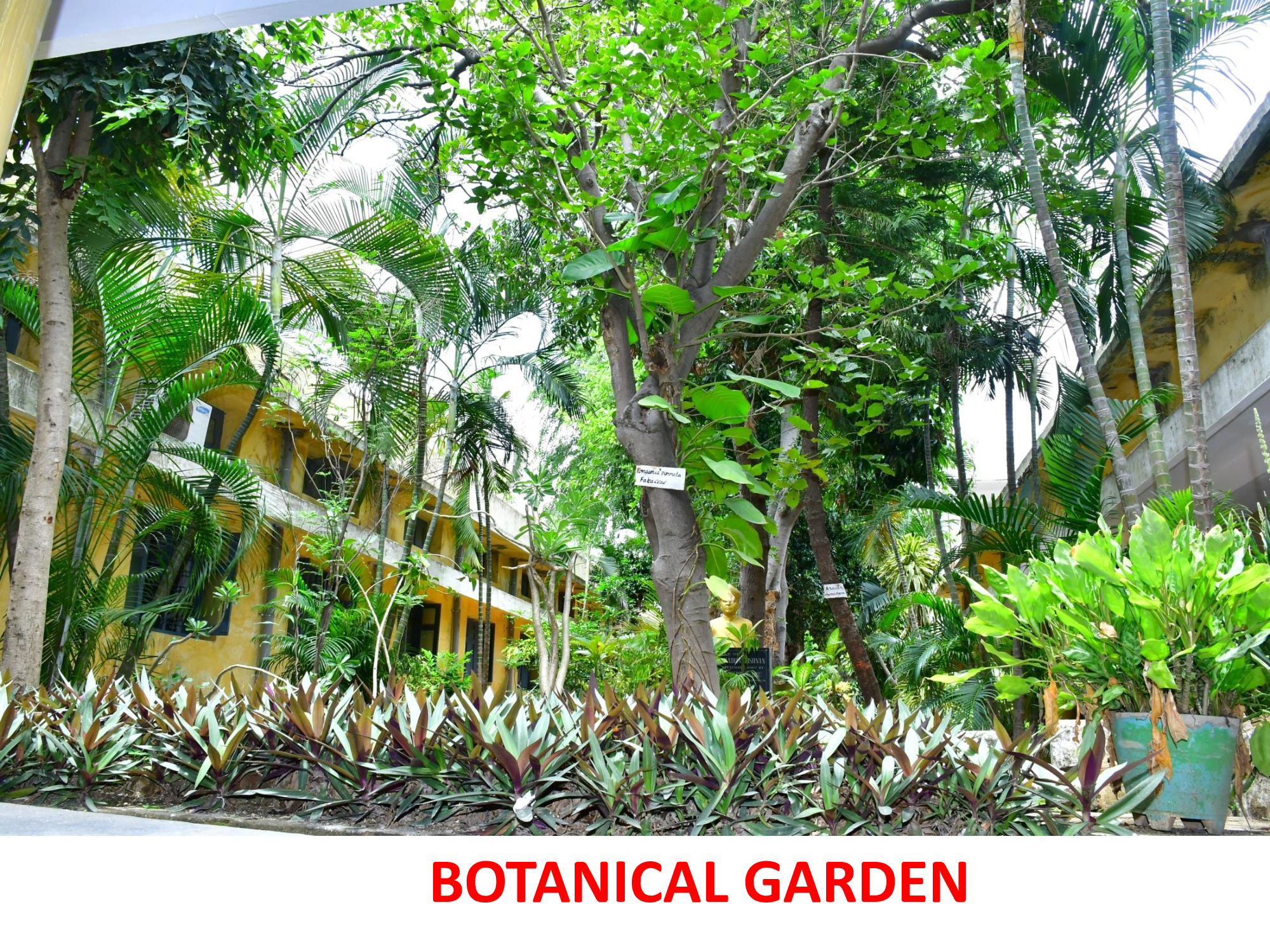 Botanical Garden - photo 2