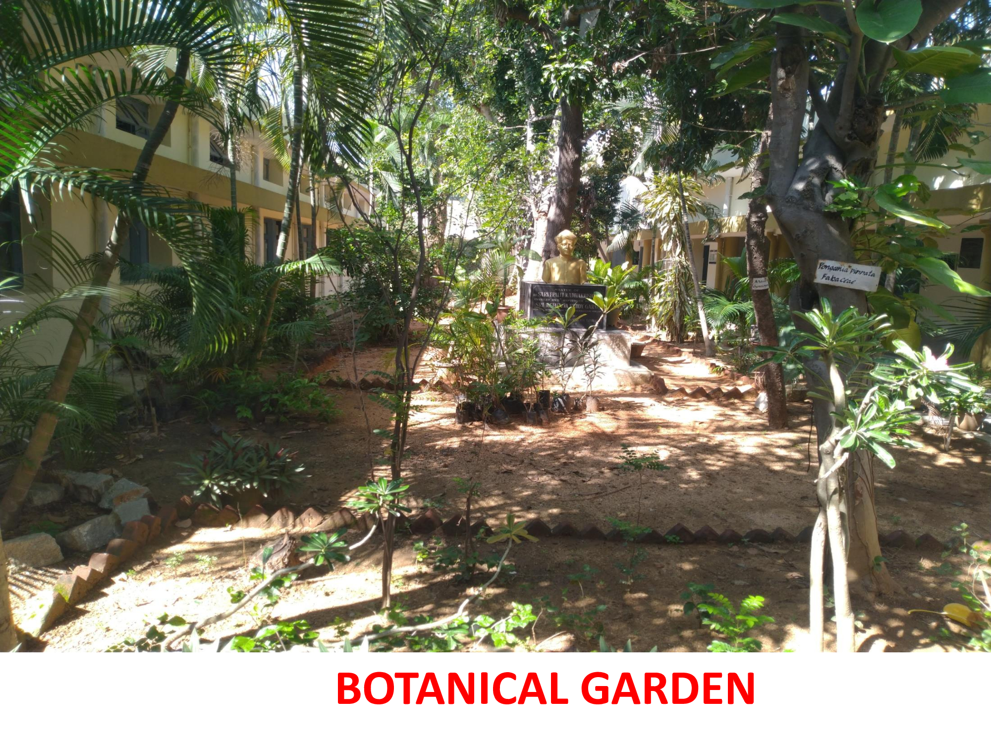 Botanical Garden - photo 3