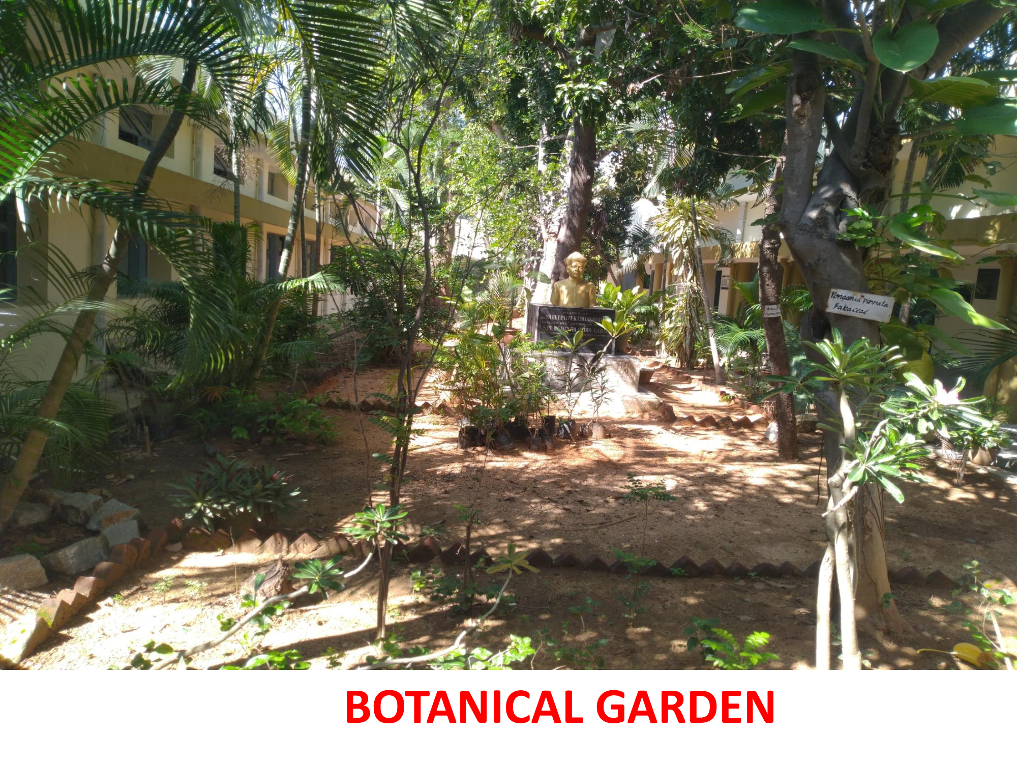 Botanical Garden - photo 4